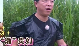 乐播老贾爆料新闻最新一期,揭秘娱乐圈幕后真相