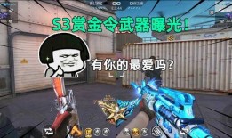 赏金令武器爆料视频,全新装备震撼来袭，揭秘神秘武器性能与特色